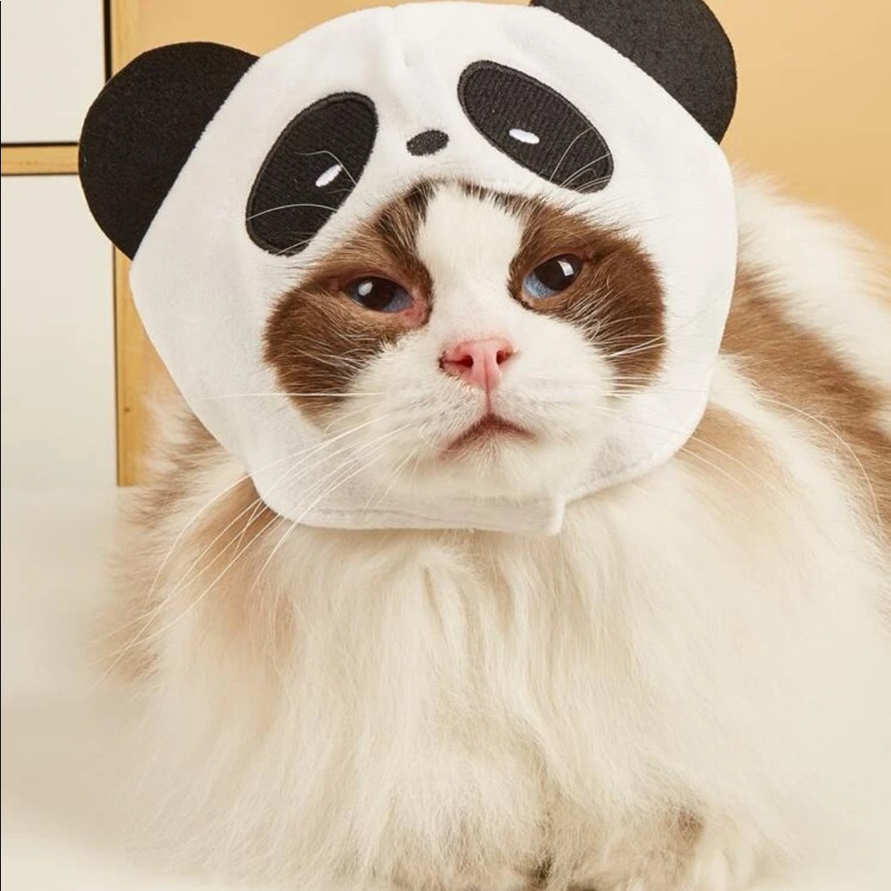 Panda Design Pet Headwear 🐈